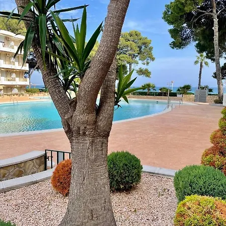 Apartbeach Internacional Vistas Playa Y Muy Luminoso Apartment *